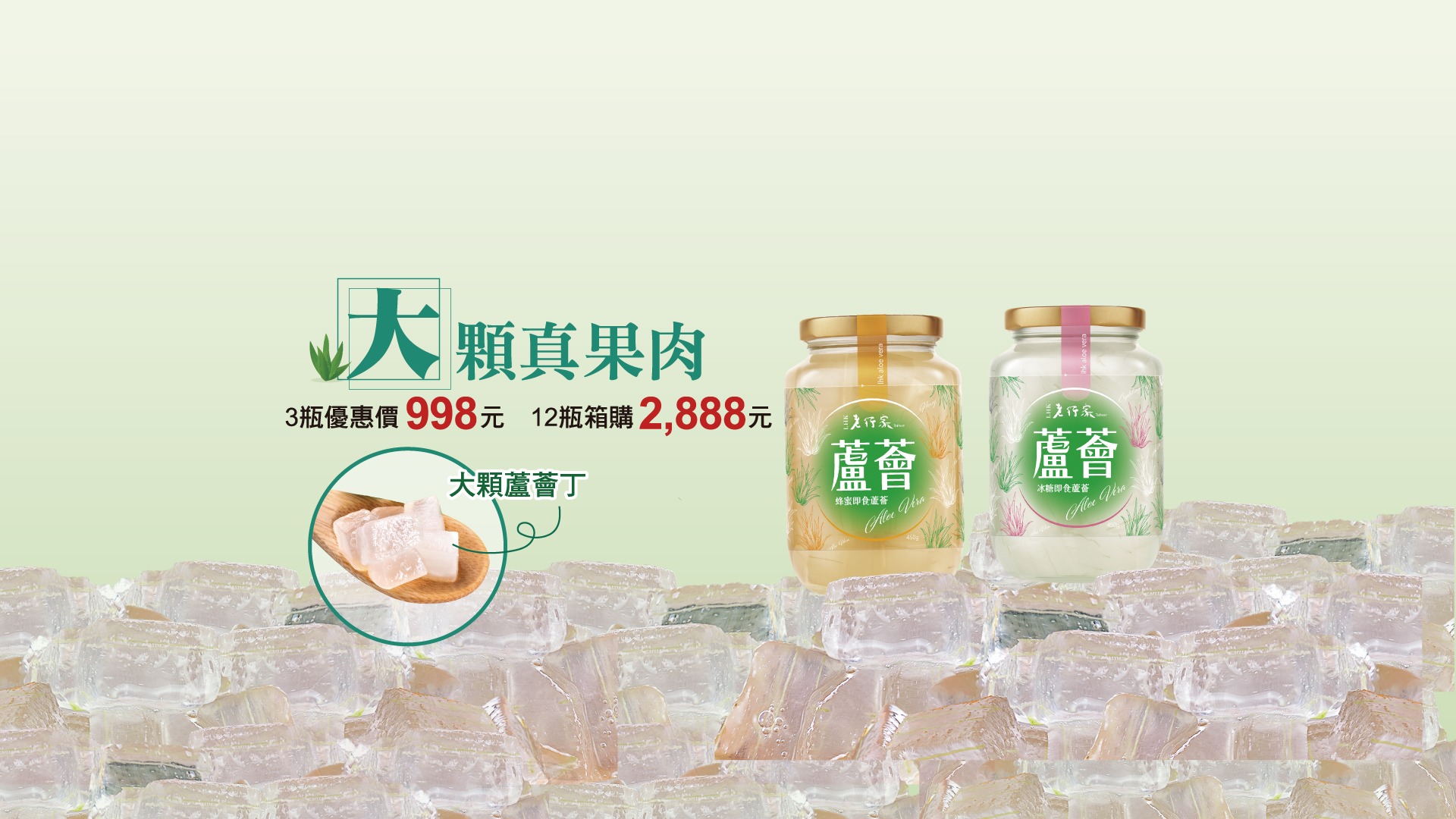 蘆薈 Summer Sale